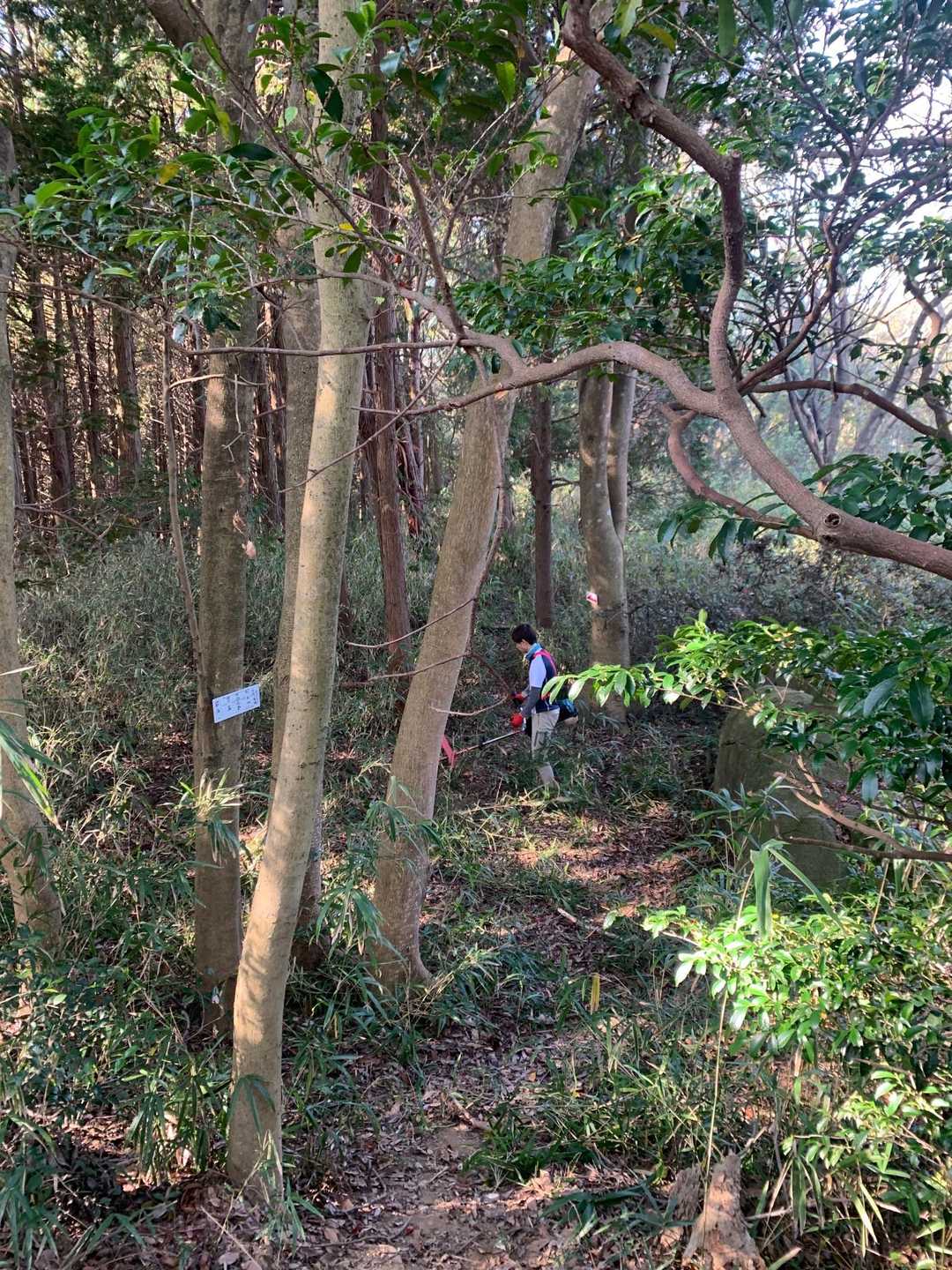 貴重な草刈り前‼️
刈手は麦さん‼️頑張って〜‼️