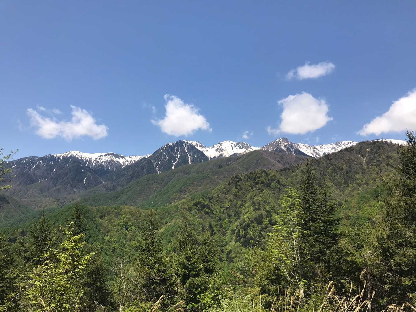 傘山 周回コースの写真