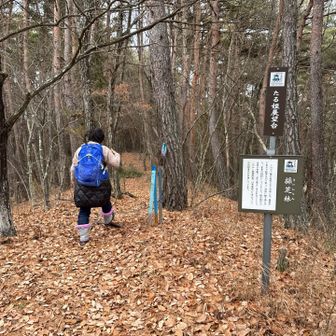 天気が悪くなりちょっと寒くなって来たので先を急ぎます