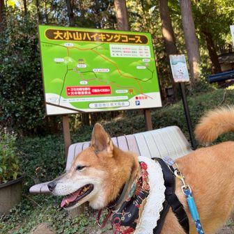 あ、楽勝です