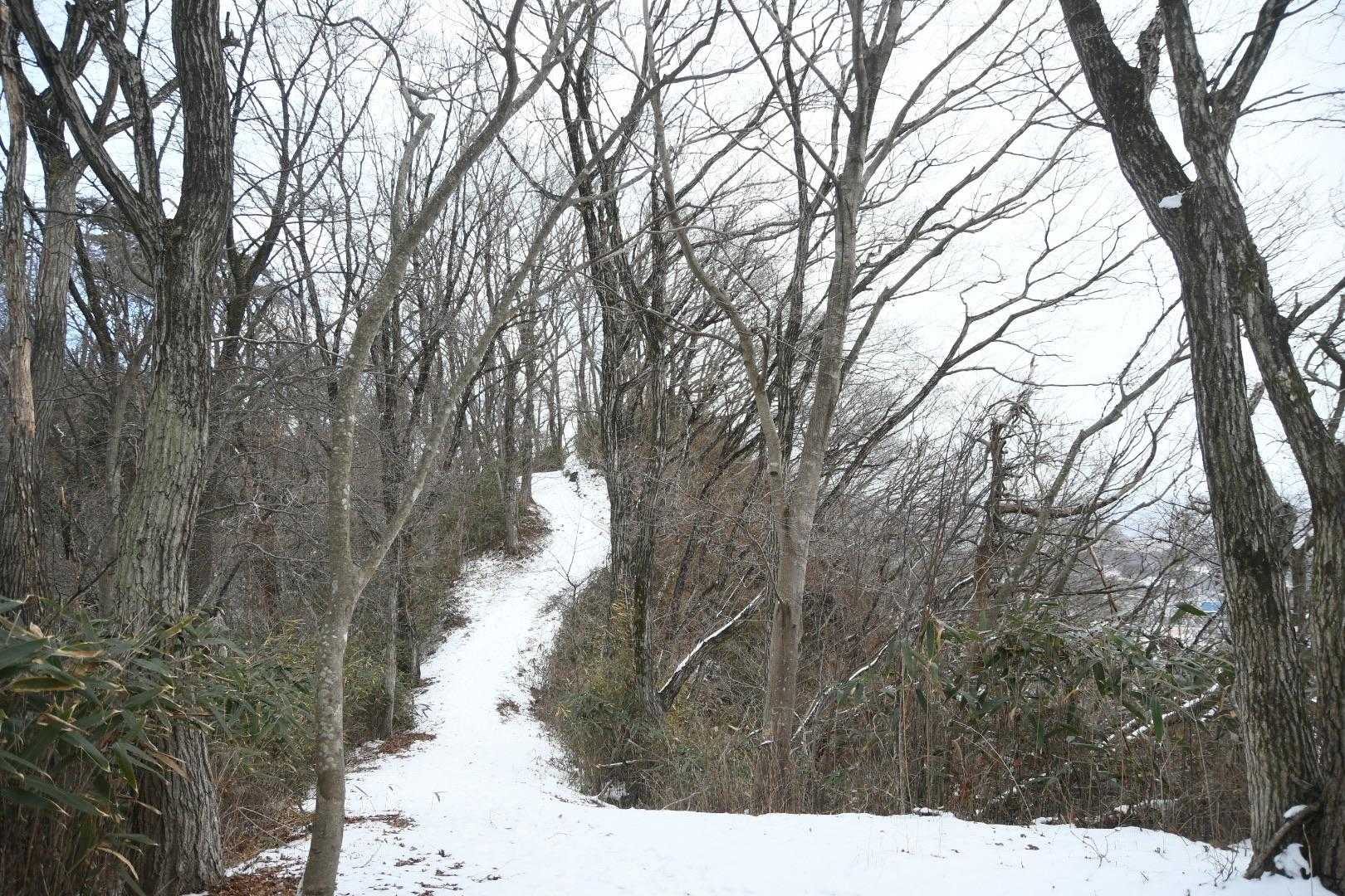 外山 往復コースの写真