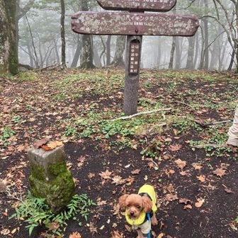 この日いちばん標高が高い。日本百低山