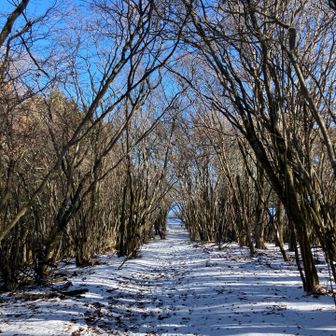 反射板まで🚶‍♀️