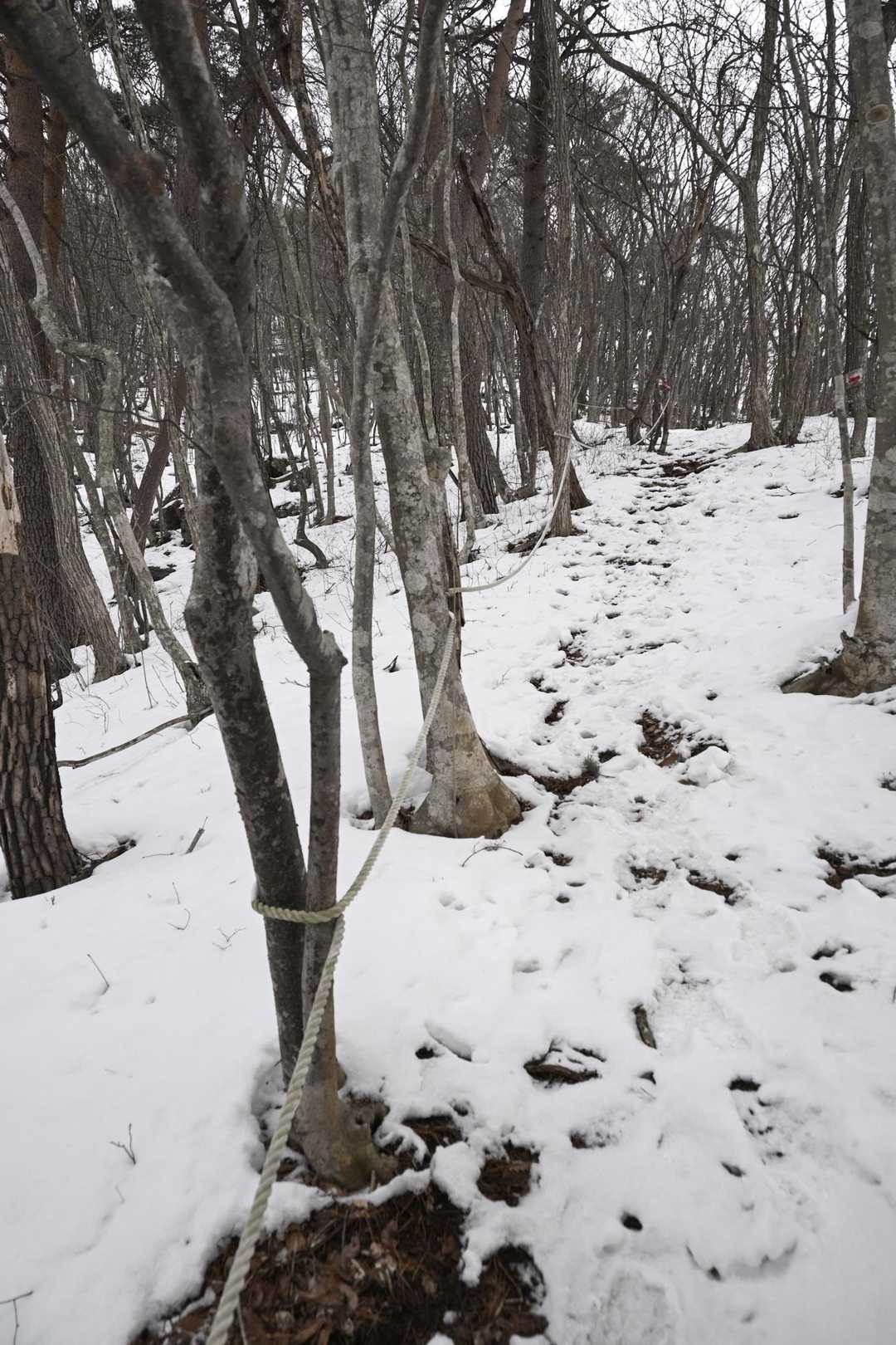 胸突き八丁の急坂が始まる。朝島山のおみ坂だ。