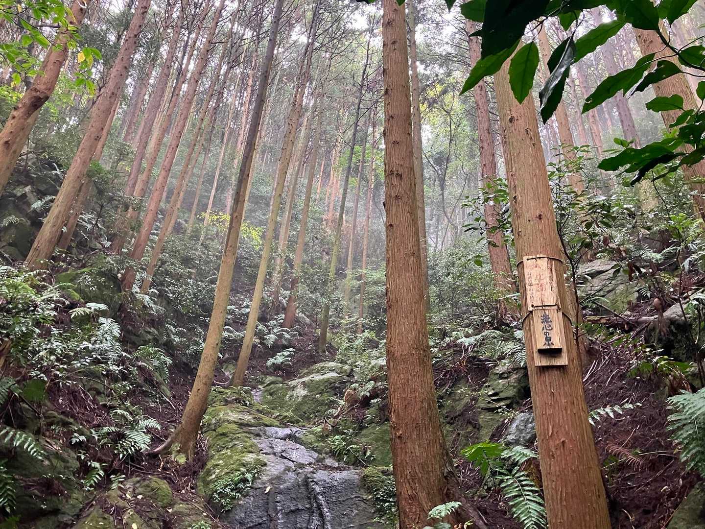 飯盛山登山道入口-飯盛山 周回コースの写真
