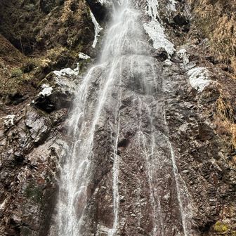 全体的に撮ってみます。
結構迫力があります。