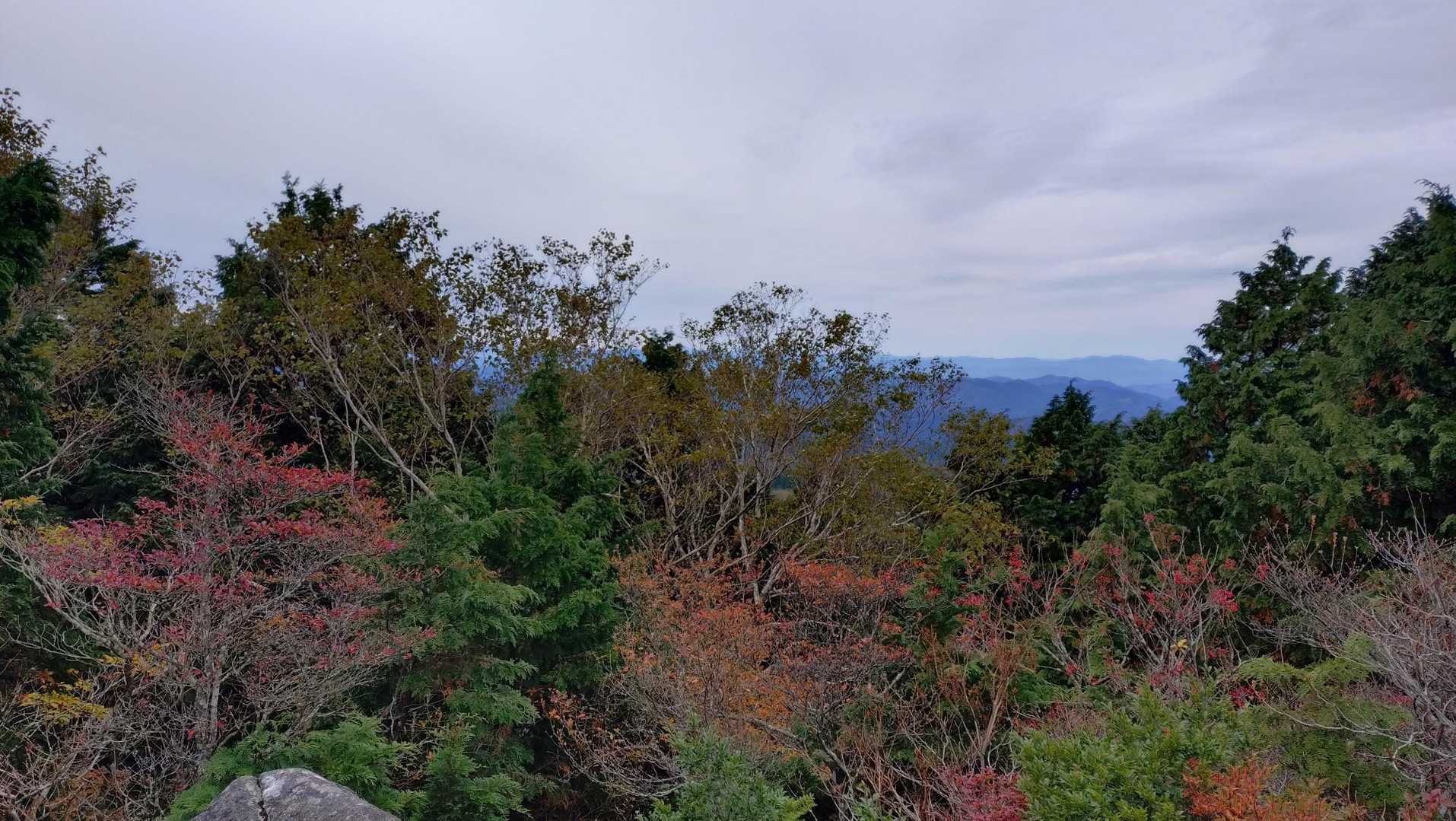 御前山 往復コースの写真
