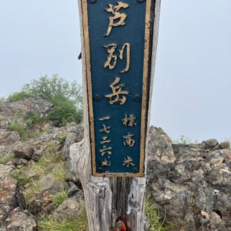 今日は渋めに