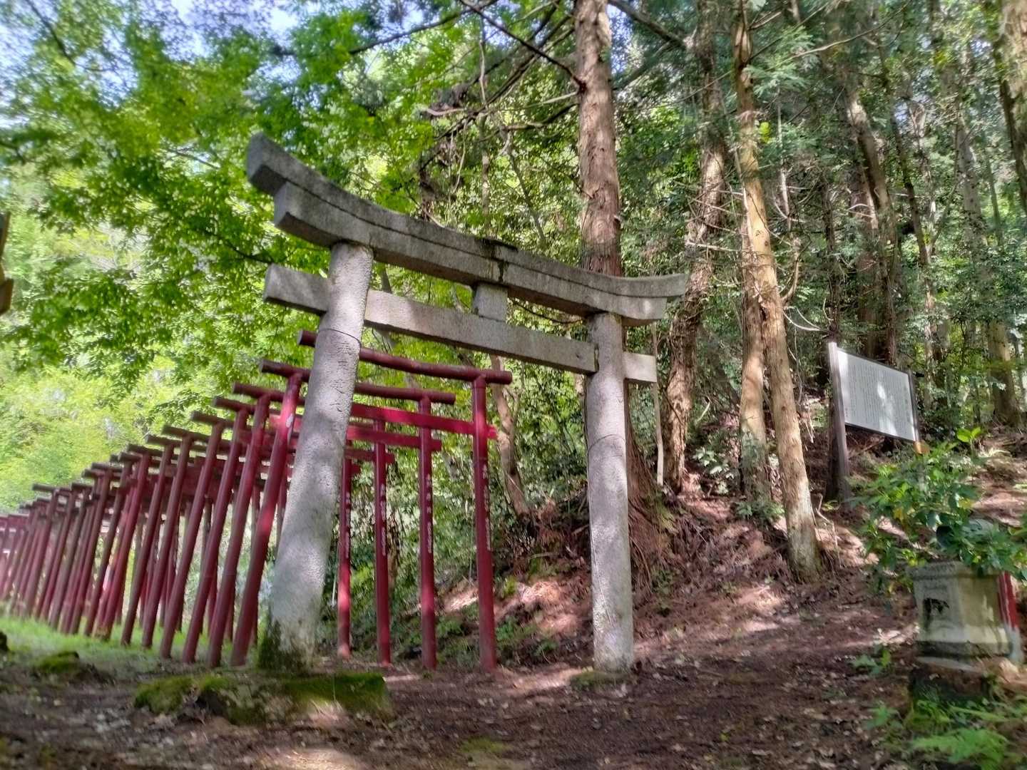 映えポイントへ