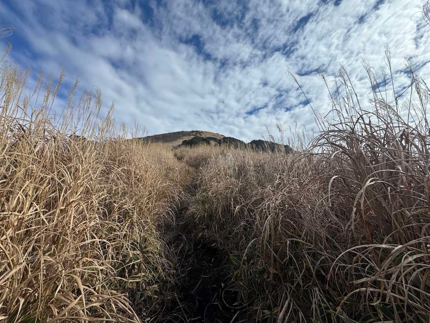山頂見えた〜