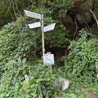 岩山登り口