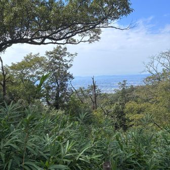 景色見る余裕なしですね。