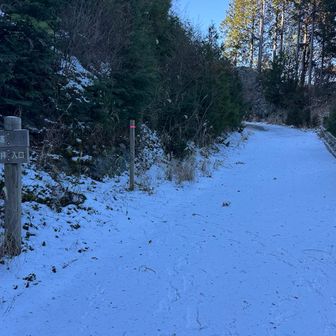登山口まで降りる。