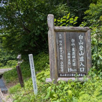 行ってきまーす