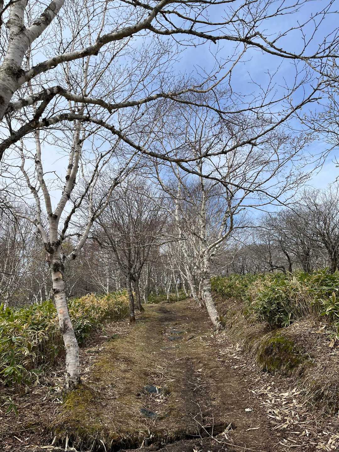 平らな道から徐々に上り坂へ
