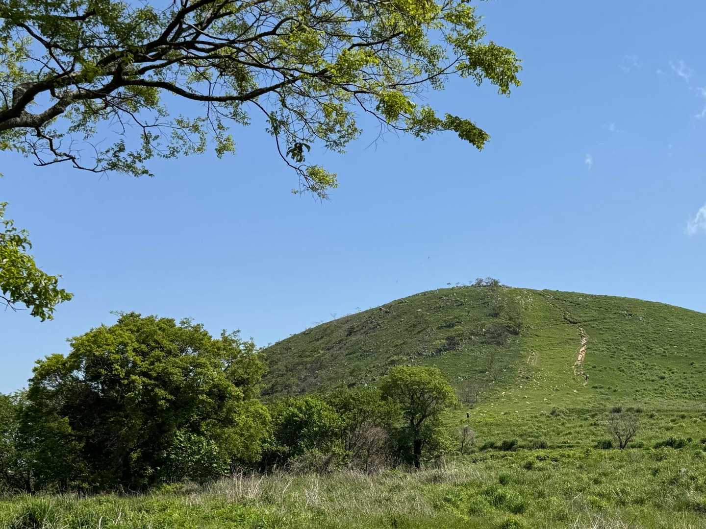 吹上峠-大平山-四方台-貫山 周回コースの写真