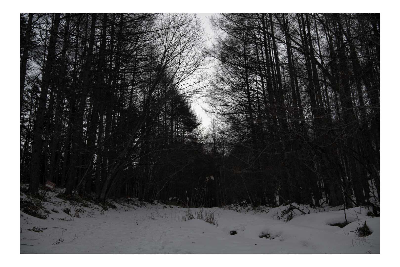 積雪はさほどないが雪の下はアイスバーになっていた。