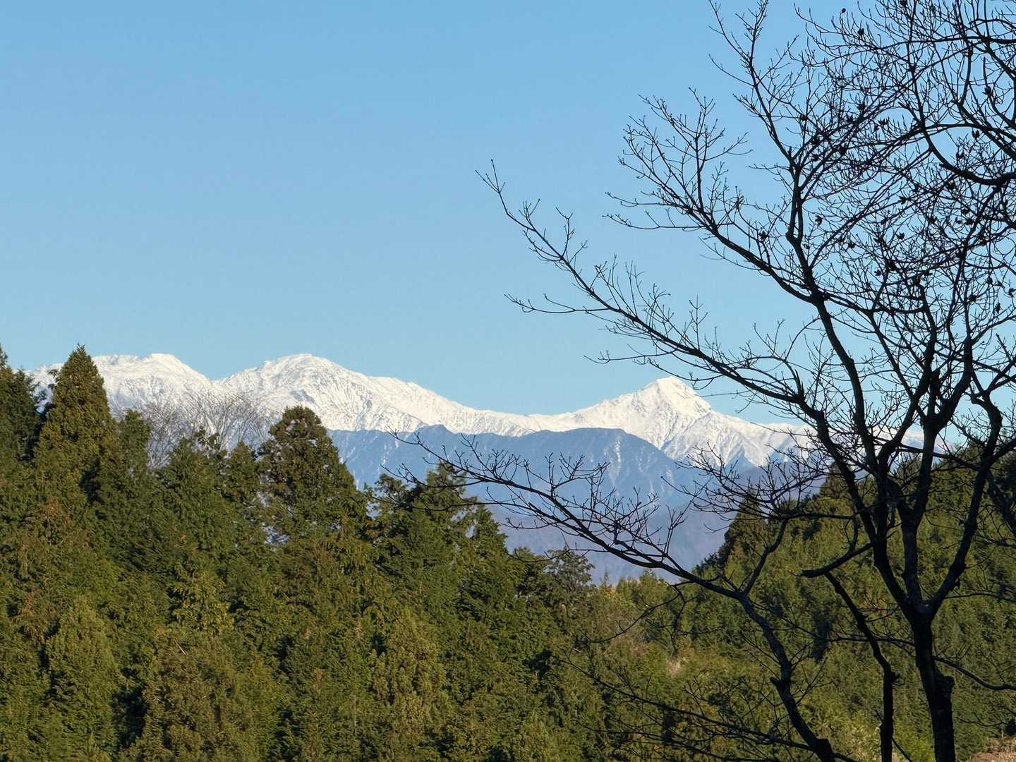 南アルプス🤩
北岳や間ノ岳