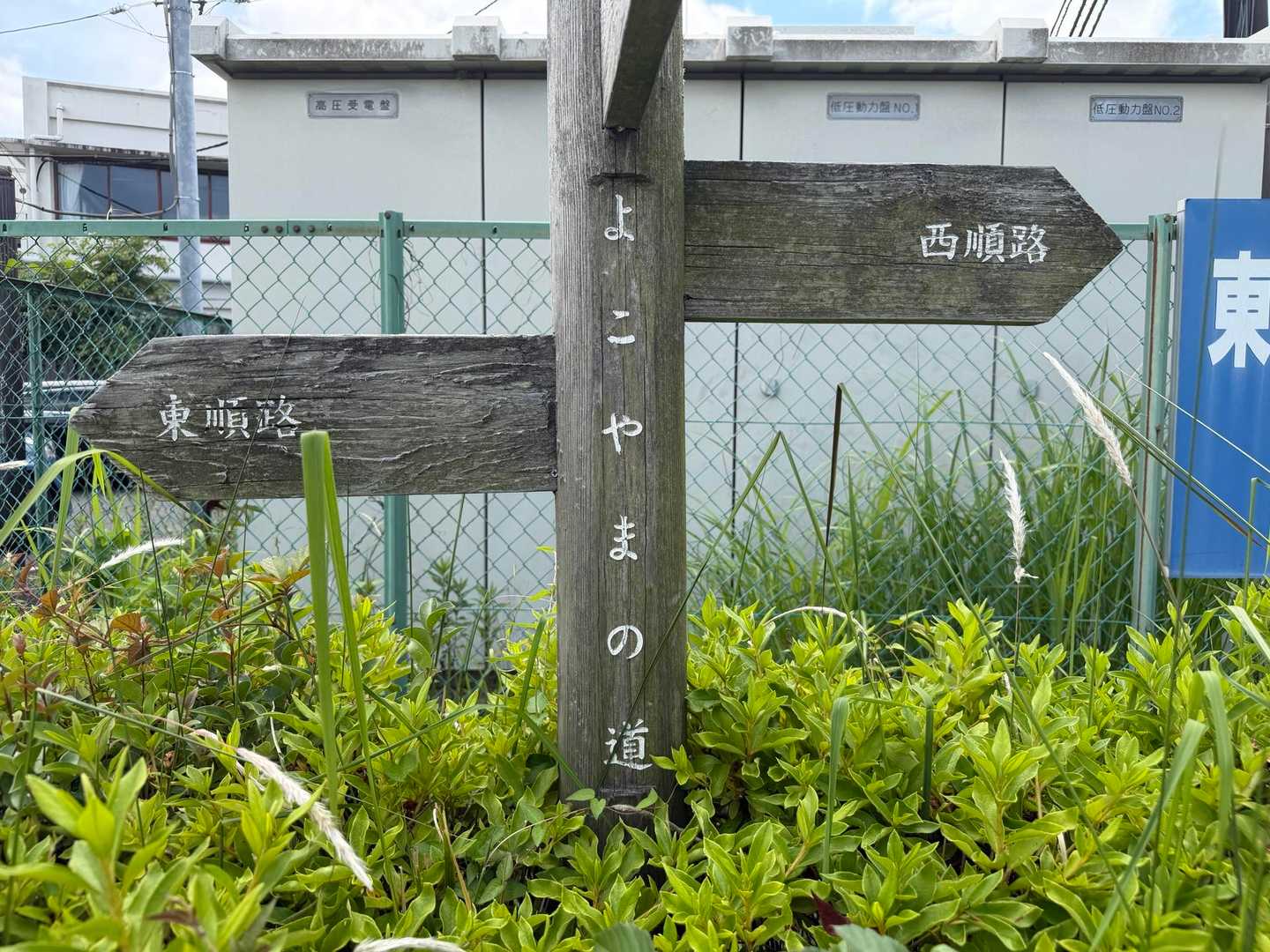 諏訪ヶ岳-古道五差路 縦走コースの写真
