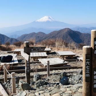 今日は晴れていたので結局来てよかった。