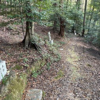 この後、通行止めの札がかかってました。また戻るのか？
いや、ごめんなさい、通らせて
すぐに反対側の通行止めの札に着きました