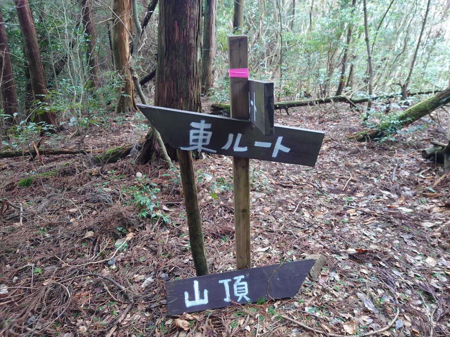 山頂で西宮から来られたソロ男性とお会いし、お山の話を聞かせていただきながら一緒に下山🎶経験豊かな方で滝とか巨木やら🐻のお話も楽しかった😊
明日は佐伯市のシオミイカリソウを観に行かれる予定だそう、これを聞いて朝時間が無くて諦めたバイカイカリソウをやはり観に行かなくちゃと決心😀