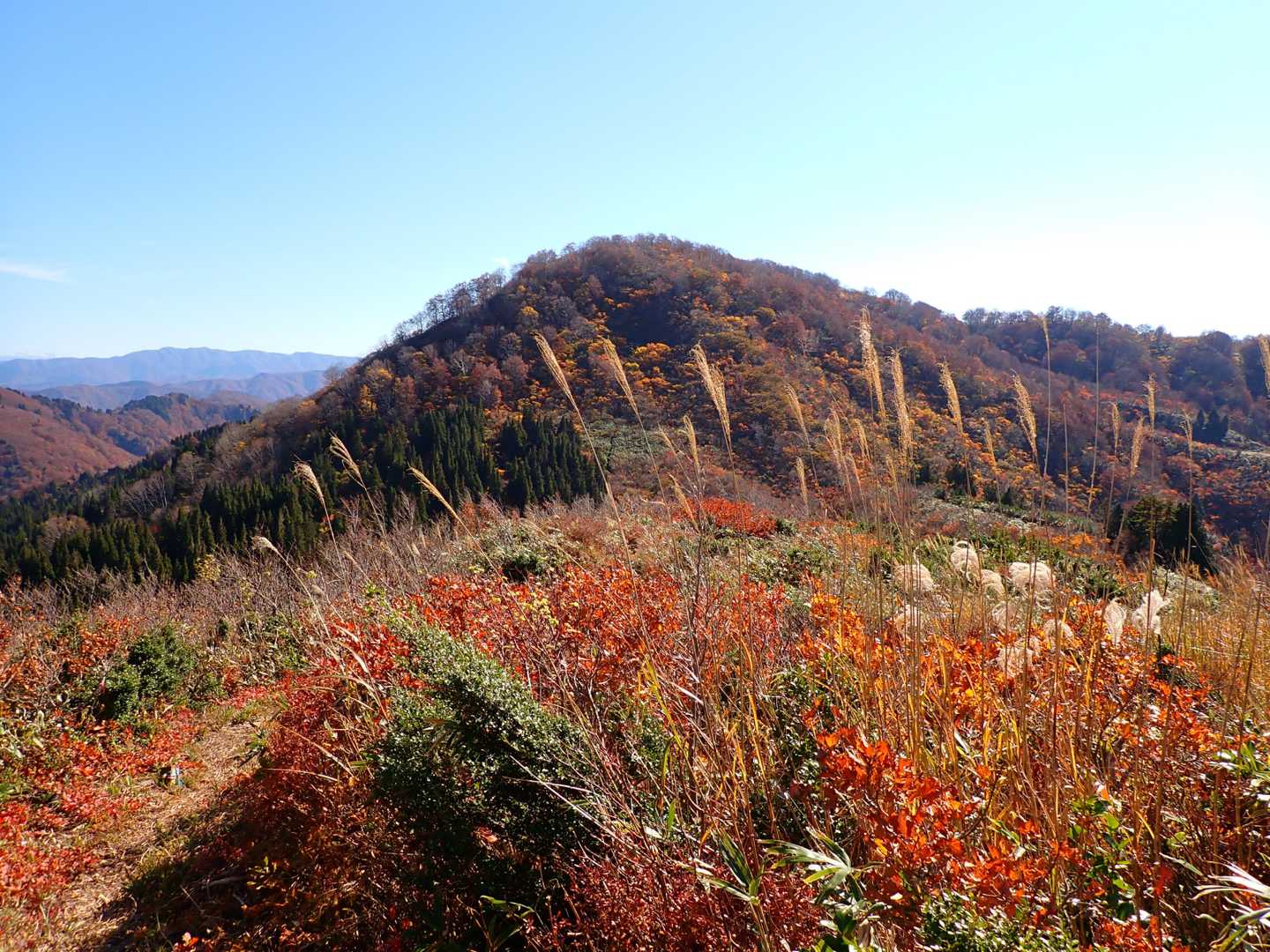 ススキと袴腰山