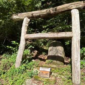 まずは安全祈願🙏

彫られた文字が
『湯之沢嶽』

岳じゃなく『嶽』ということは
きっとキッツい修験の山なんかな⁉︎