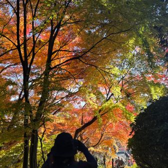 でも綺麗で写真撮りたい🤭