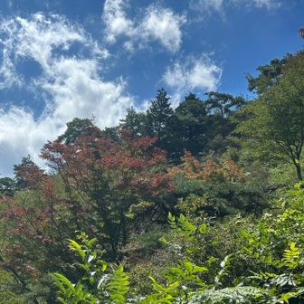 秋めいてきた🍁