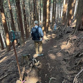 分岐に戻って「足柄万葉公園」へ👉

向こうから可愛いワンチャンが2匹😍