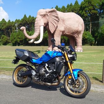 ぜンゴ@MT-09 & XSR900