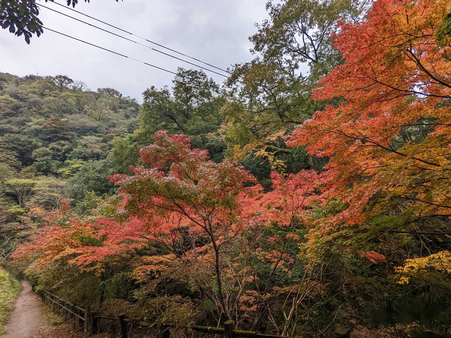 新神戸駅-滝山城跡登山口 縦走コースの写真