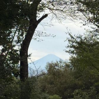 白岩寺山頂からの富士山🗻