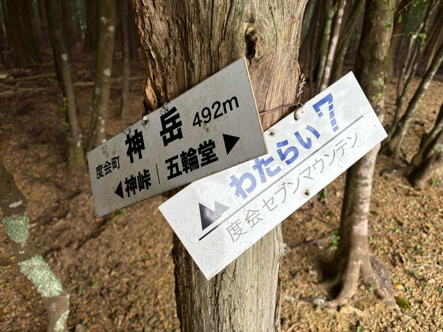 神薗の頭からおよそ40分、出発してからはおよそ1時間35分、神岳山頂に到着です*\(^o^)/*