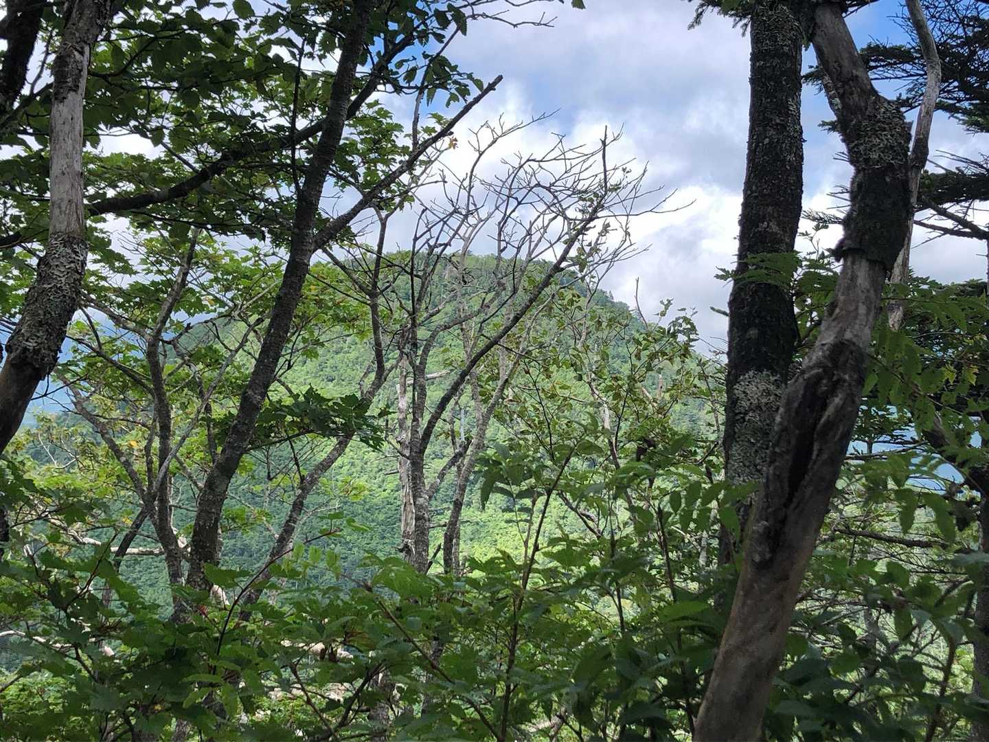 頂上で１時間少々、のんびりしました

ほんとは、火口へ下って少し違う景色を見てから降りたかったけど、下山時間を考えて、今回はそのまま同じルートで下山

ここは、また違うルートで再訪したいので、火口はまた次のお楽しみに