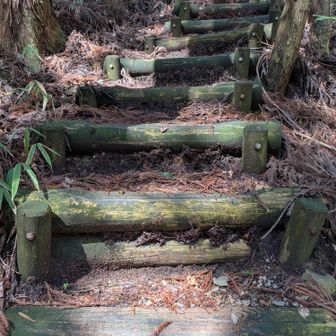 いよいよ階段ゾーン