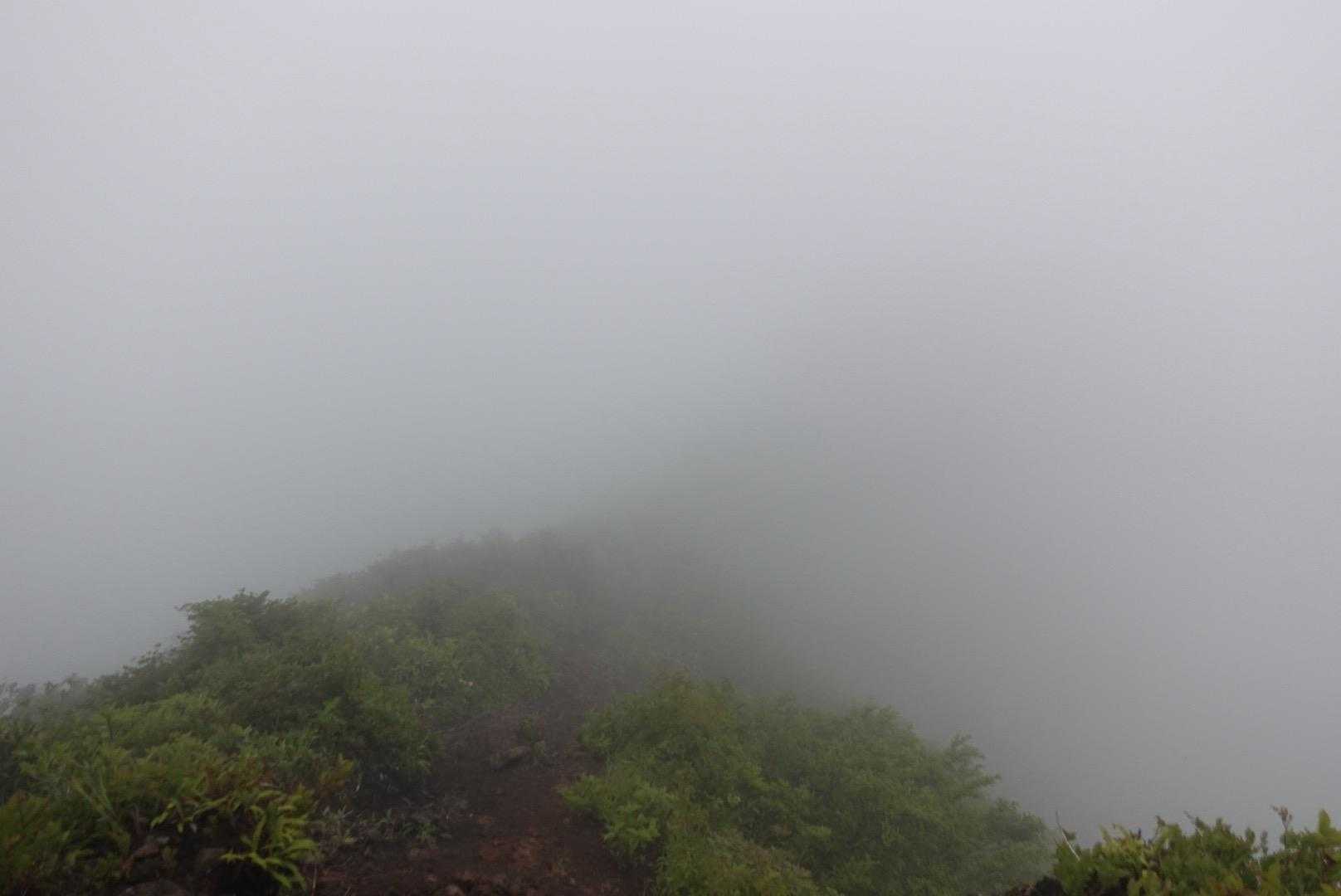 鬼ヶ面山へ向かうのですが先が見えない😅