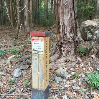 ここまで降りれば安心