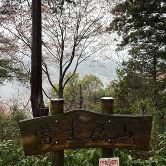 富士居山登頂⛰️
向山、大峰への縦走もできますが時間がかかりそうなのでここで戻ります↩️