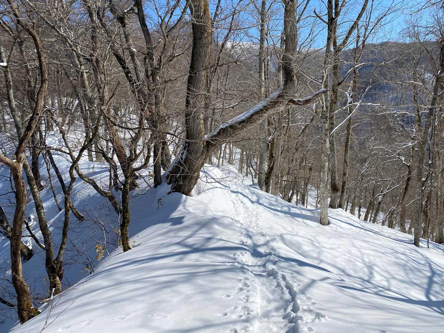 少し休まる平らな道