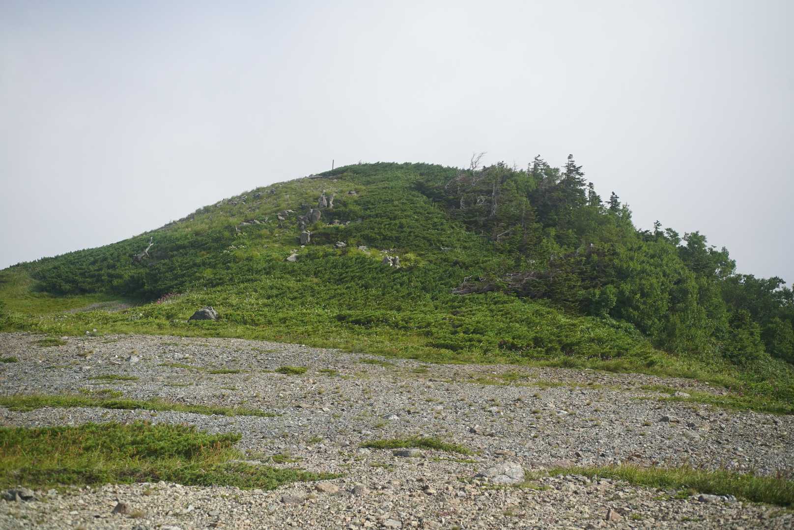 登山道の右側に有るこのピークに