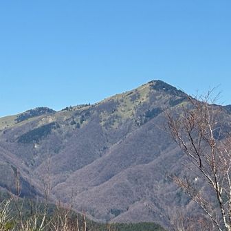 北隣の大川入山🙂
登りたい衝動に駆られる爽やかな山姿😆