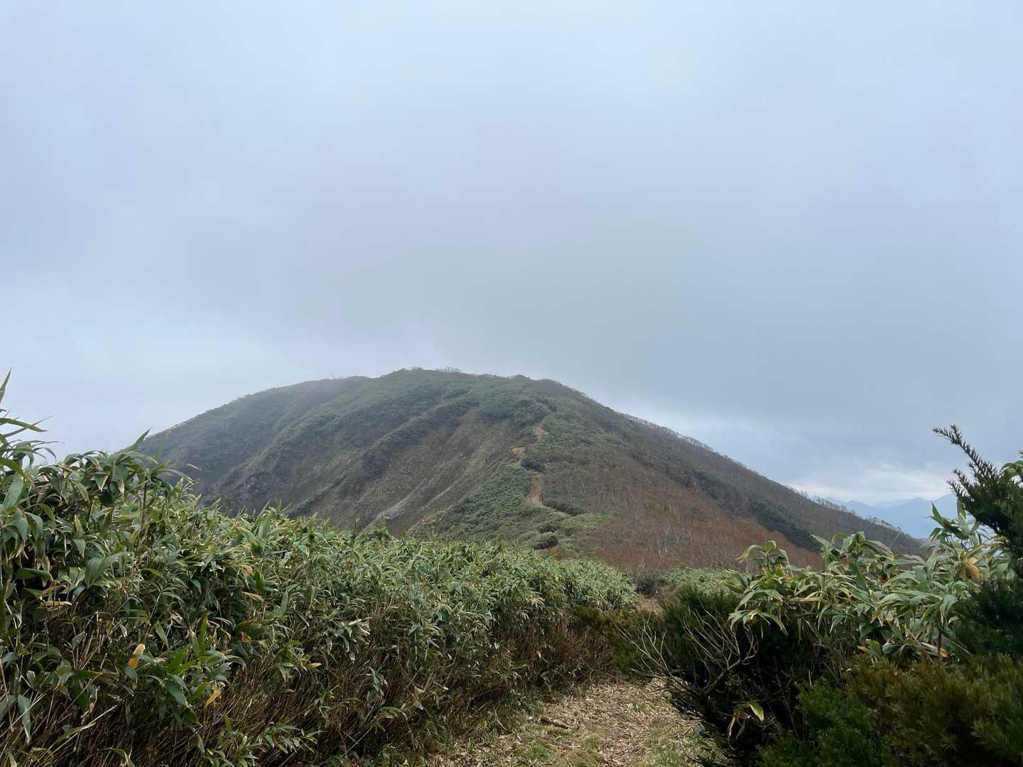 温見峠-能郷白山 往復コースの写真
