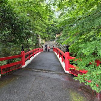 きなこさんと