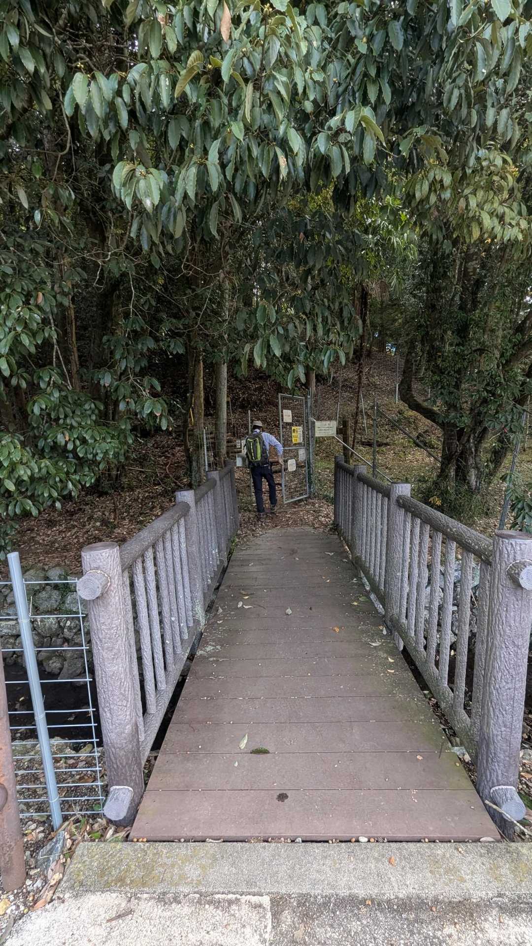 ここから⤴️