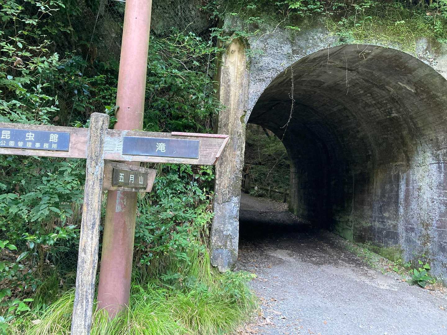 初っ端に「こっちに行ったら五月山に行けるんやー」って言うてたところ