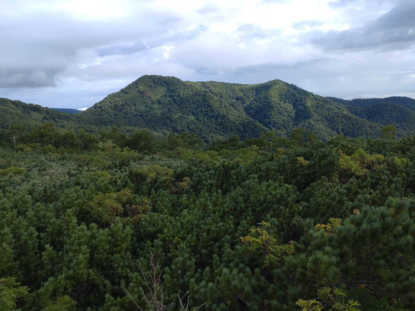 側には泥ノ木山
冬専用かな？