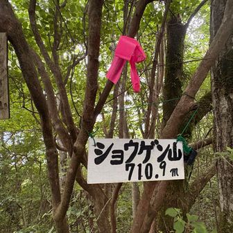 山頂