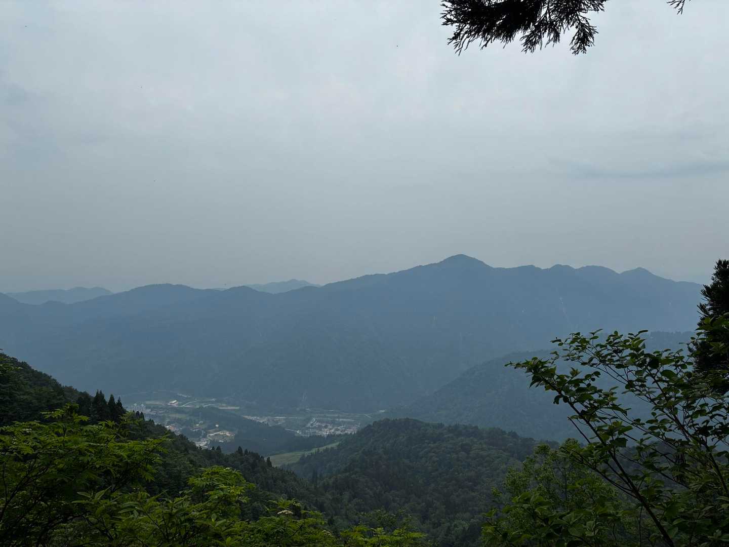 すぐそこの大辻山は見えました

高いお山はガスで見えず
涼しいからまぁいいか…